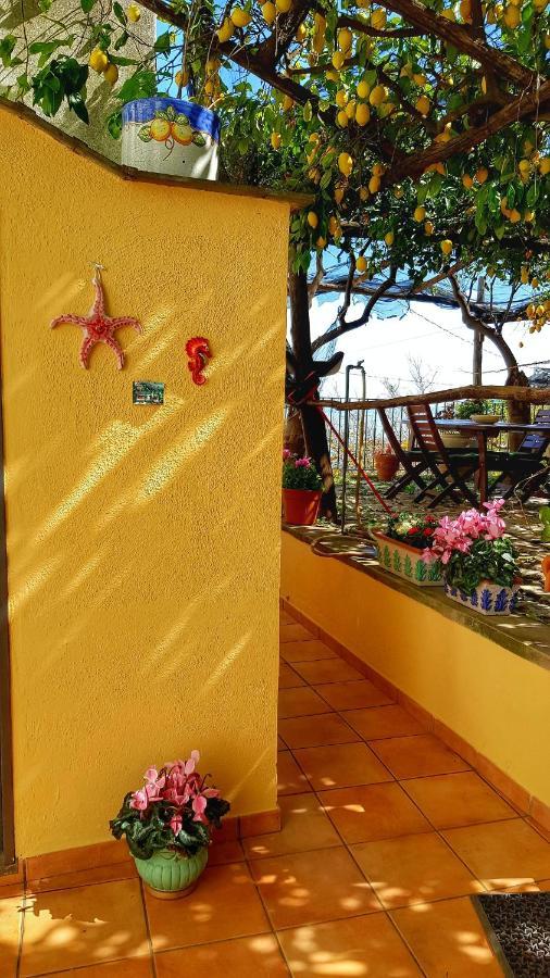 Il Limoneto Degli Angeli Villa Minori Exterior photo