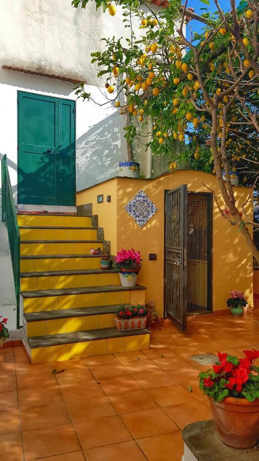 Il Limoneto Degli Angeli Villa Minori Exterior photo