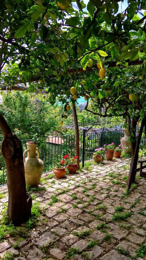 Il Limoneto Degli Angeli Villa Minori Exterior photo