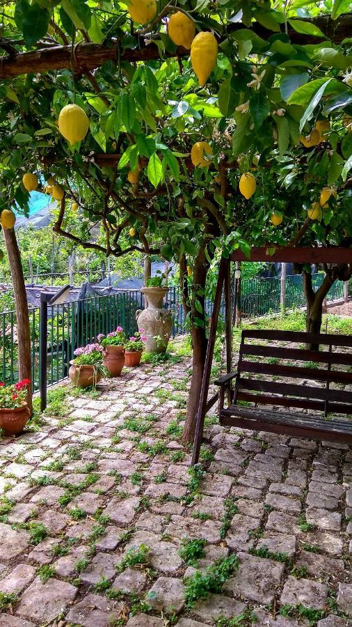 Il Limoneto Degli Angeli Villa Minori Exterior photo